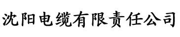 掀起她的超短裙撕开她的白丝电缆厂logo